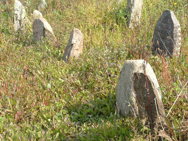 Memorial at mass grave site in Vishnive cemetery, September 2005