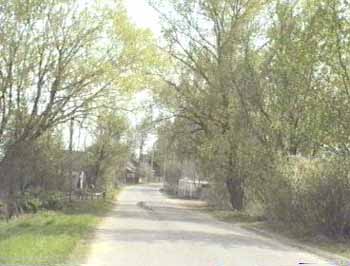 ויחודניצע 1996